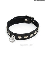 Charger l&#39;image dans la galerie, Rimba #7534 - Leather Collar With Studs 2.5 Cm Wide Sex Toy
