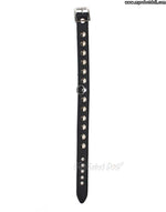 Charger l&#39;image dans la galerie, Rimba #7534 - Leather Collar With Studs 2.5 Cm Wide Sex Toy
